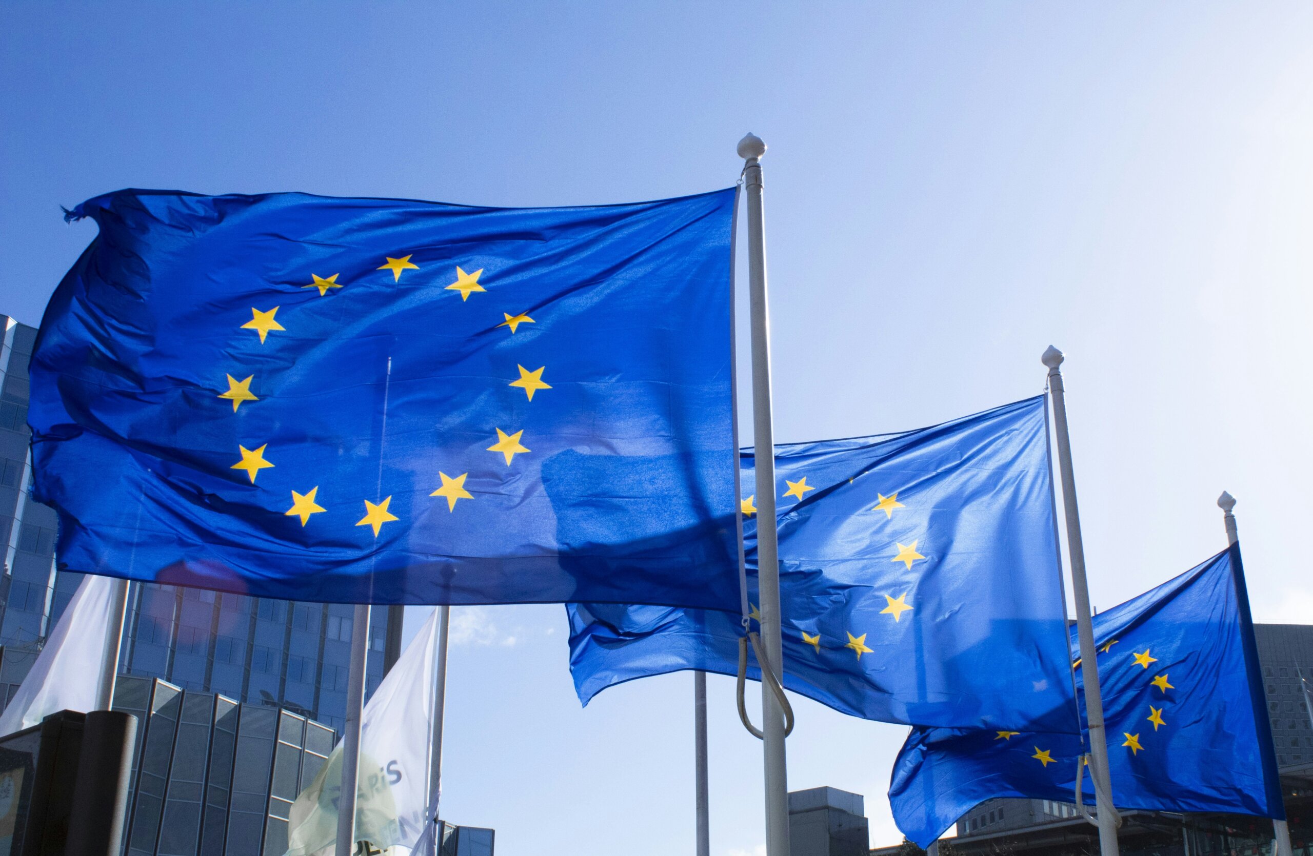 European Union flags blowing in the wind